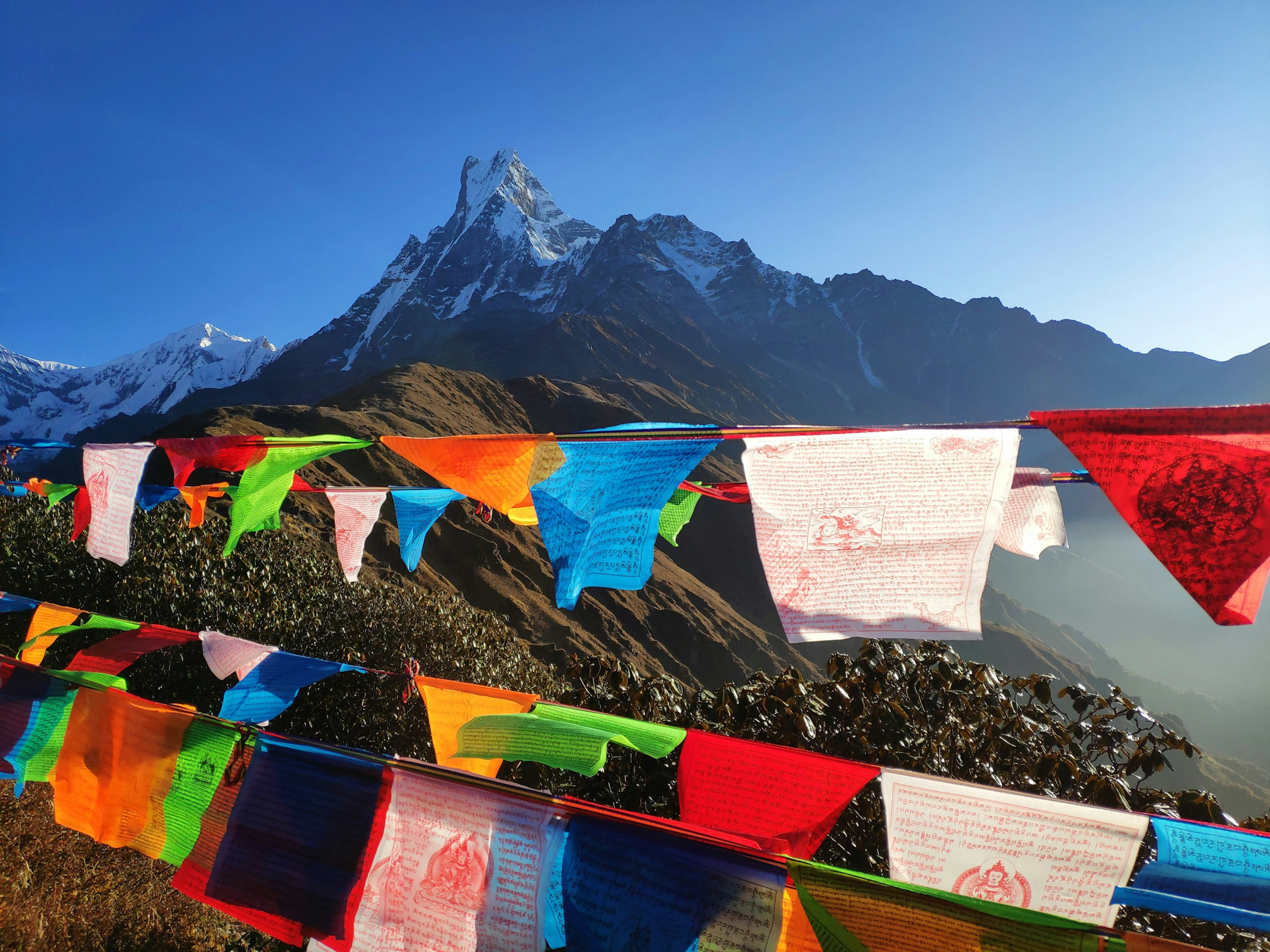 La Transhimalayenne : de l'Himachal au Ladakh